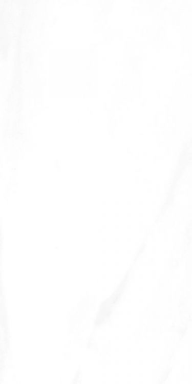 EC Calacatta Gold Polished 2nd Choice (Bowed but within Industry Standard) 12 x 24